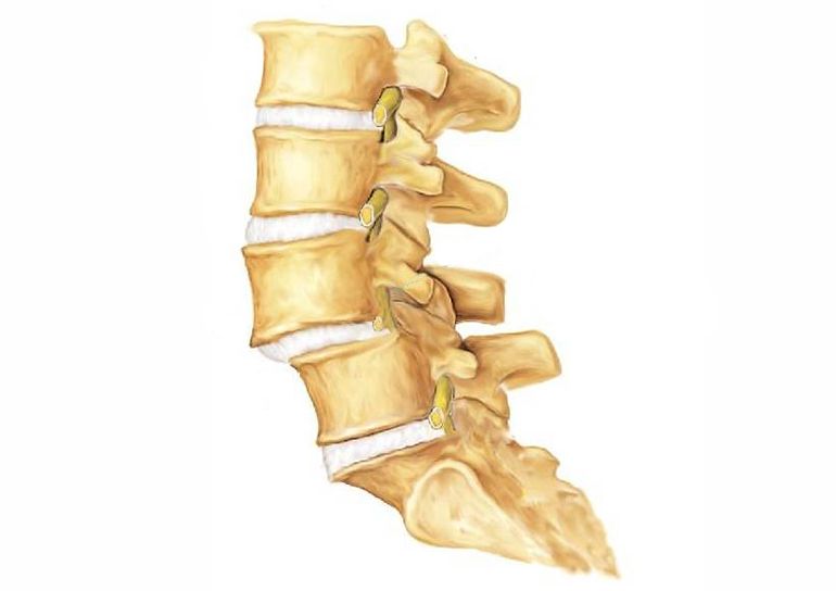 Bel Kayması (Spondilolistezis): Belirtileri, Tanısı ve Modern Tedavi Yöntemleri